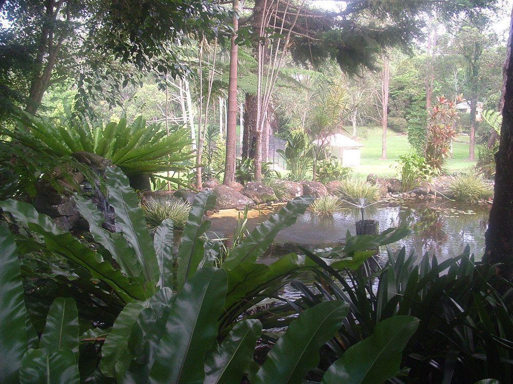 Bendles Cottages Maleny Exterior photo
