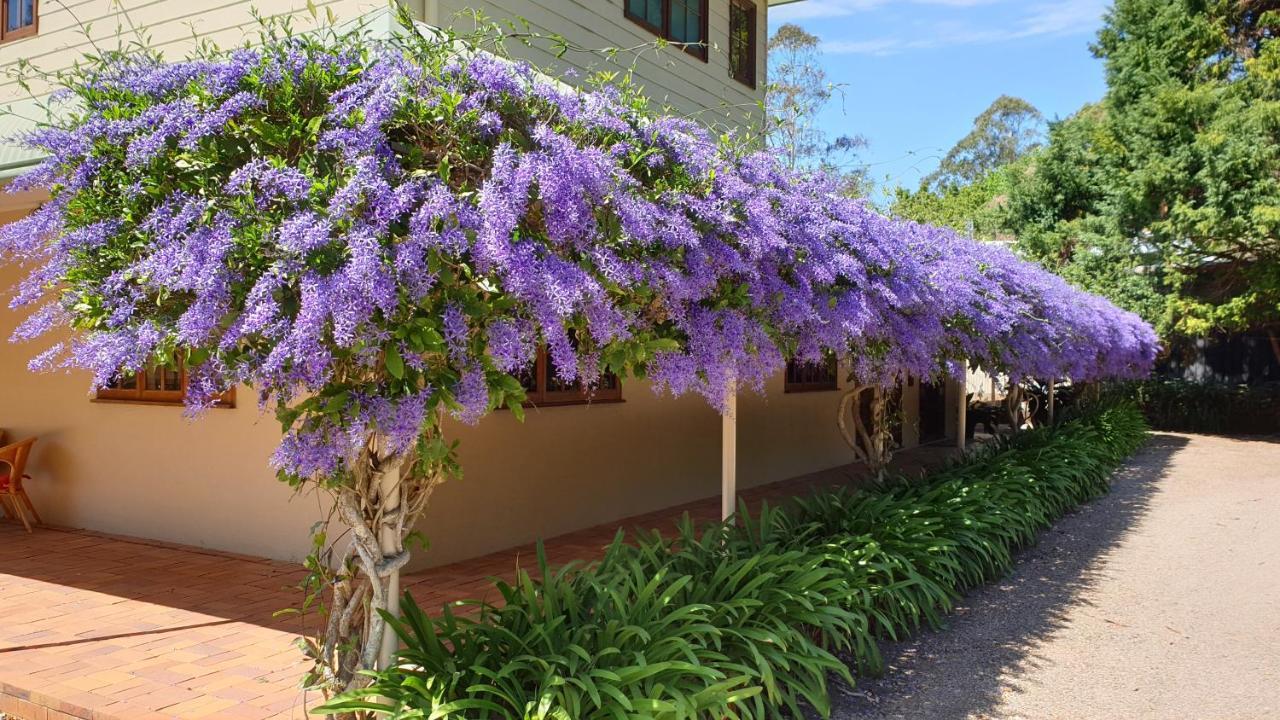 Bendles Cottages Maleny Exterior photo